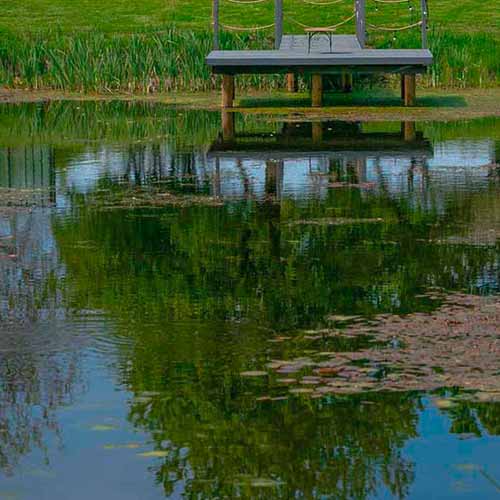 Steg am See.